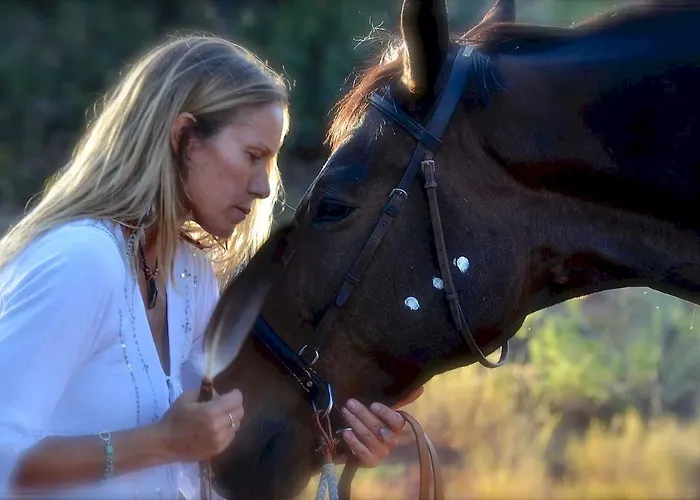 Farm stay The Mountain Lion - Horses Sedona's Loved Sedona