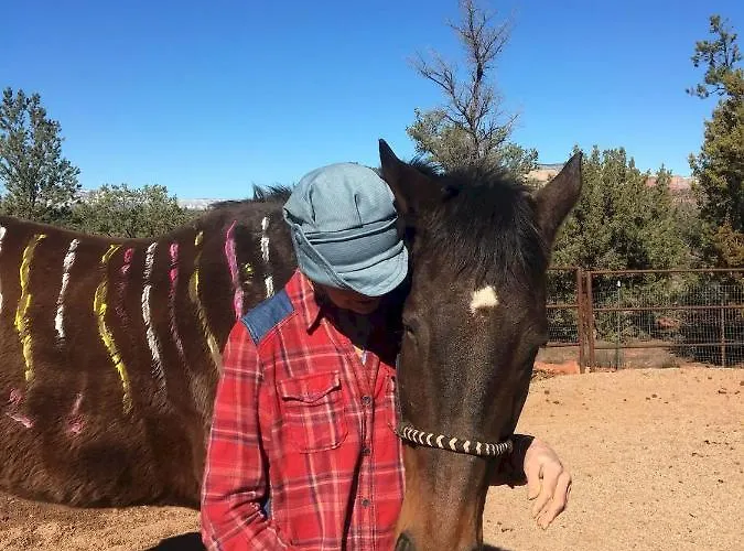 The Mountain Lion - Horses Sedona's Loved Farm stay