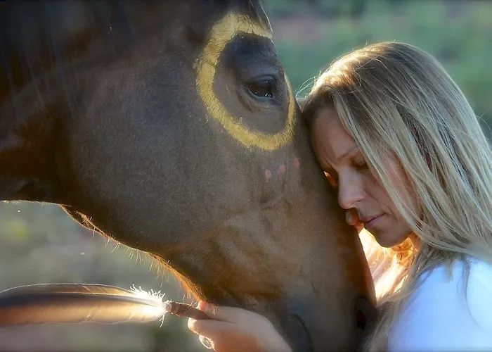 The Mountain Lion - Horses Sedona's Loved Farm stay *